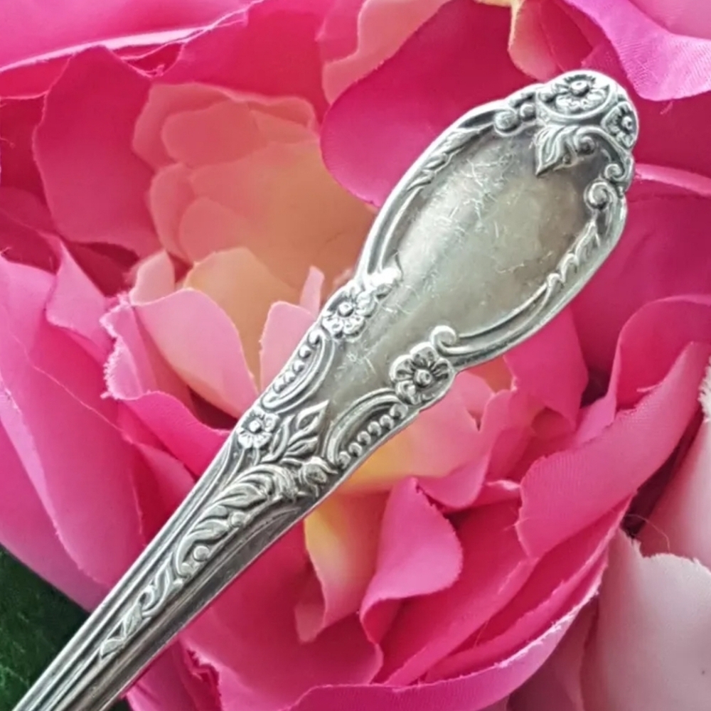 1881 Rogers Oneida ENCHANTMENT Silver Plated Soup Spoon 5pc Set